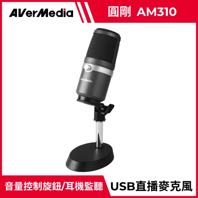 圓剛麥克風 AM310