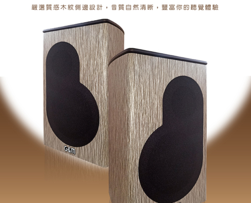 G&M BSJ38 卡拉OK專業書桌型喇叭 在家也能唱出錄音室等級音質！ 這款專業卡拉OK喇叭，結合 3 吋絲膜高音 + 4 吋飽滿低音，聲音清晰又有力。 採用 AAA高密度木質箱體，一體成型、穩固抗震，音質更純、更厚實。 內建 100W+100W超大功率，搭配純銅鍍金接線柱，傳輸穩定、音色更細膩。 不論唱歌、追劇還是聽音樂，都能享受臨場感滿分的震撼聲效！ 台灣製造、品質保證，一年保固，讓你安心開唱！