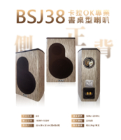 G&M BSJ38 卡拉OK專業書桌型喇叭 在家也能唱出錄音室等級音質！ 這款專業卡拉OK喇叭，結合 3 吋絲膜高音 + 4 吋飽滿低音，聲音清晰又有力。 採用 AAA高密度木質箱體，一體成型、穩固抗震，音質更純、更厚實。 內建 100W+100W超大功率，搭配純銅鍍金接線柱，傳輸穩定、音色更細膩。 不論唱歌、追劇還是聽音樂，都能享受臨場感滿分的震撼聲效！ 台灣製造、品質保證，一年保固，讓你安心開唱！