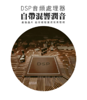 G&M A2 專業卡拉OK數位擴大機