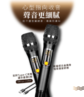 G&M A2 專業卡拉OK數位擴大機