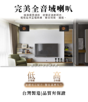 PA 808 卡拉OK懸吊式喇叭 讓聲音從天而降，現場感直接拉滿！ 搭載 150W+150W 強勁功率，採用 200磁包圍結構設計，聲音層次更清晰、穩定又有力。 鈦膜音盆 + 闊型號角，高音細膩、低音厚實，真實還原每個音符的細節。 高級金屬網罩保護喇叭，同時增強音場擴散力，唱起來更立體有深度。 懸吊式設計不佔空間，家用、商用都超適合，搭配專業安裝服務更安心。 台灣製造、品質保證，一年保固，讓你唱得像在舞台上發光！