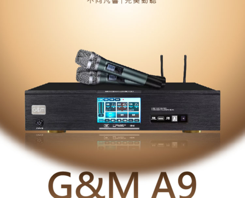 一開機就能唱，聲音直接炸裂！ 藍牙無線輕鬆連接，想播就播、想切就切，完全不費力！專業家庭 K 歌擴大機，內建兩支無線麥克風，開機自動對頻，即拿即唱，超方便。 450W＋450W 超大輸出功率，聲音大又飽滿內建高品質數位迴音，音色細膩又圓潤，唱歌超加分！搭配 專業 UHF 無線麥克風，拾音準、不噴麥、不嘯叫，怎麼唱都好聽。不只適合家庭歡唱，會議、包廂、舞廳、戶外活動通通搞定！支援 USB、MP3 播放，高清音質快速讀取。全觸控智慧螢幕，操作直覺，長輩小孩都能輕鬆上手。一年保固＋完整售後服務一台就夠，全場都嗨！